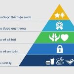 thap-nhu-cau-maslow