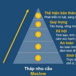 thap-nhu-cau-maslow